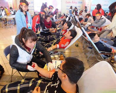 Students donate blood at the Red Spring Festival 2014 (Photo: SGGP)